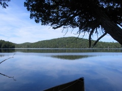 thumbnail-algonquin-canoe